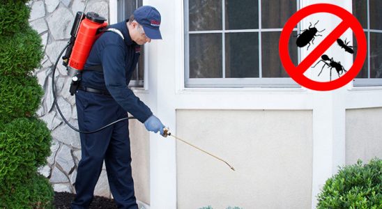 Hopa Bit İlaçlama böcek ilaçlama ve haşere kontrolü — ilaclama-tr.com